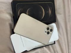 Apple iPhone 12 Pro Max