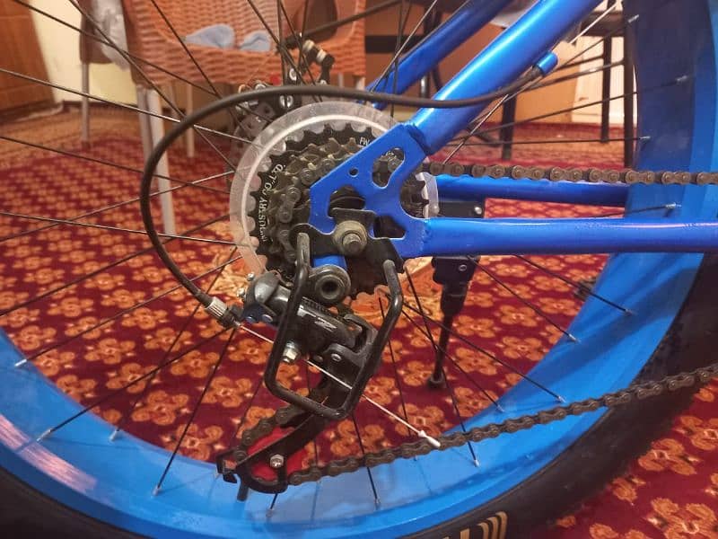 fat trye cycle 1