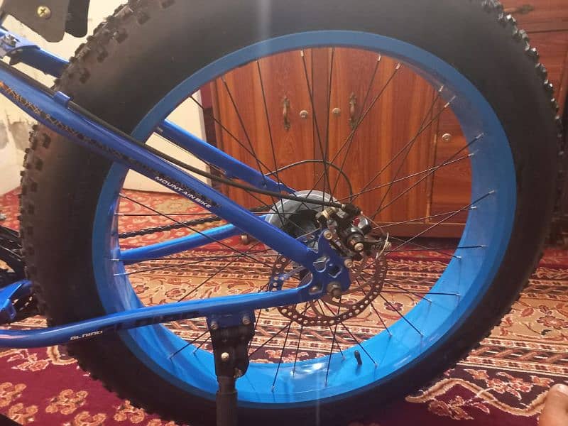 fat trye cycle 2