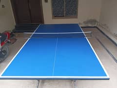 TABLE TENNIS TABLE