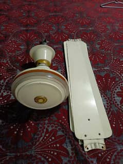 Master Ceiling Fan