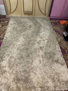 carpet