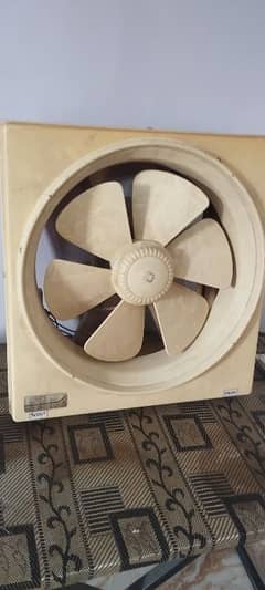 fan  fan