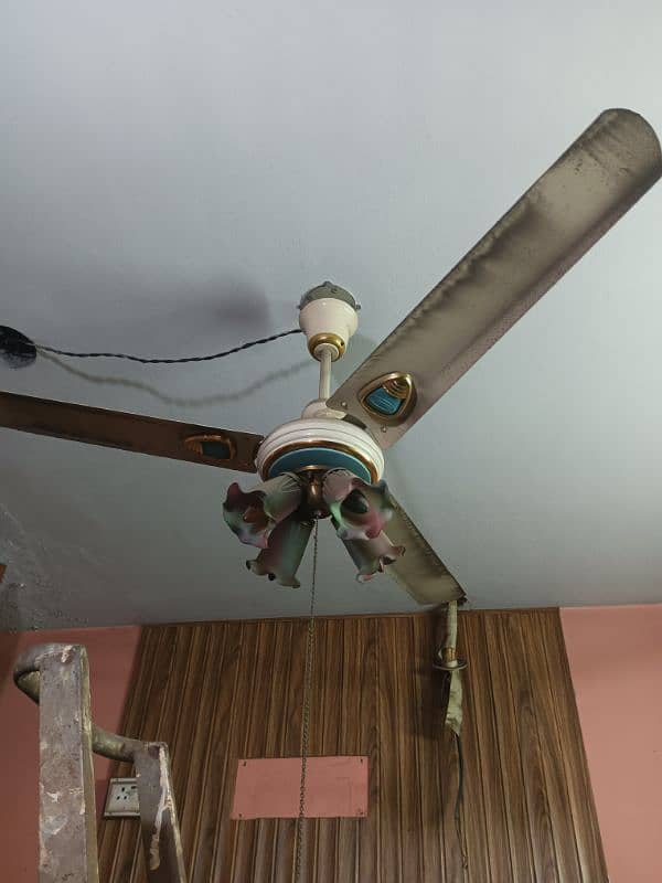 ceiling fans 0