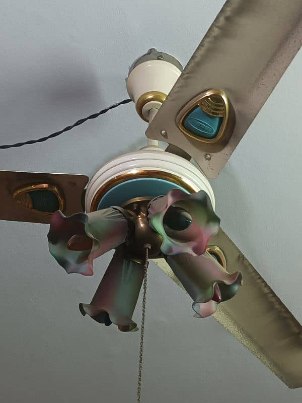 ceiling fans 1