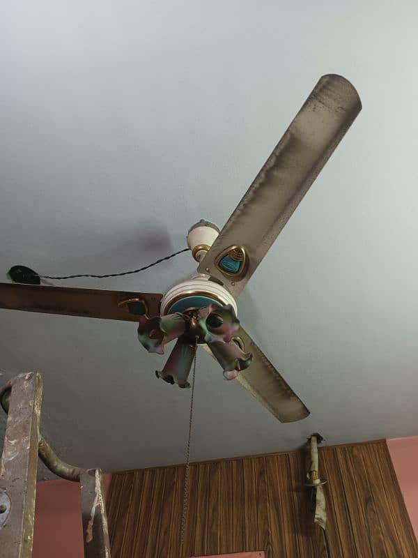 ceiling fans 2