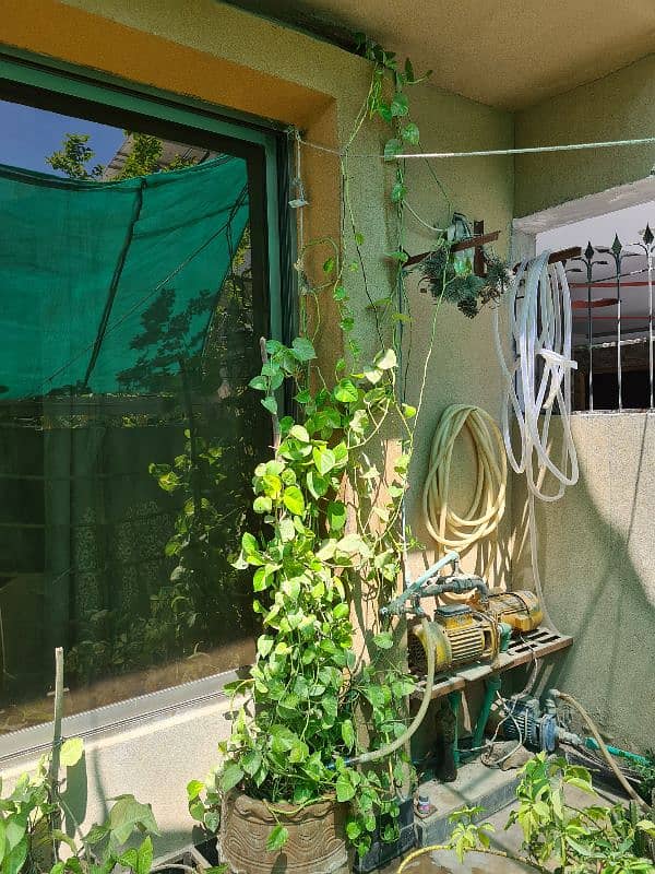 Plants with pots 9
