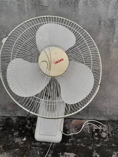 Royal Fan In perfect  Condition
