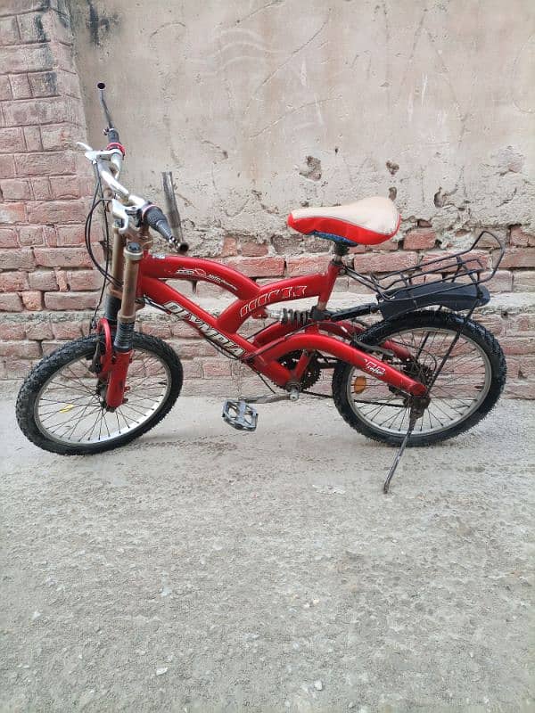 Olympia medium size cycle. 1