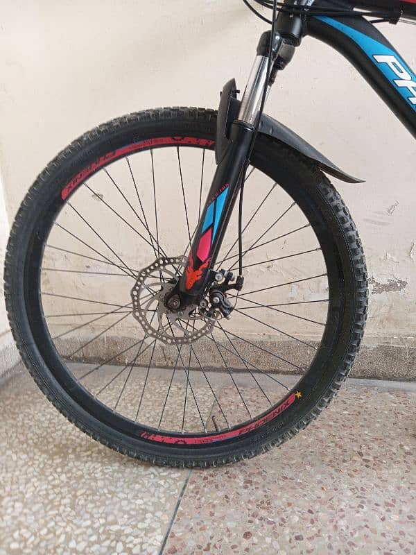 Phoenix Mtb Cycle 1