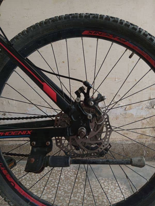 Phoenix Mtb Cycle 2