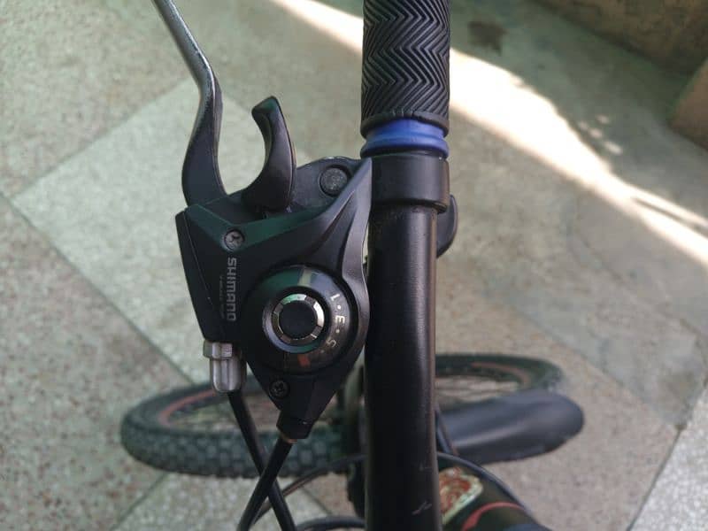 Phoenix Mtb Cycle 3