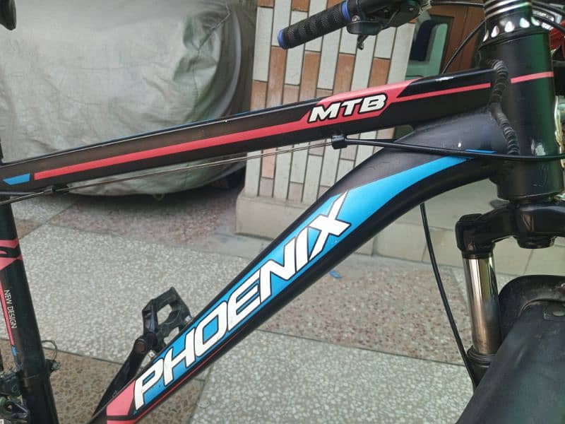 Phoenix Mtb Cycle 5