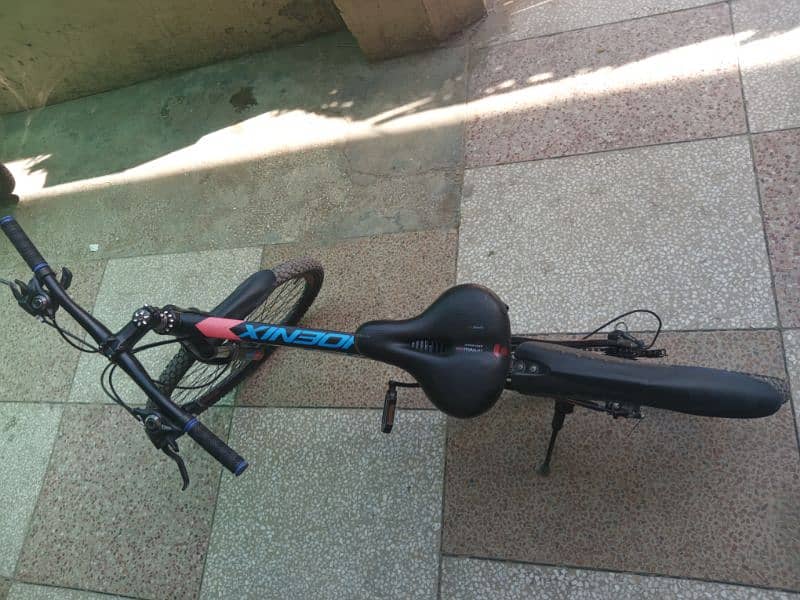 Phoenix Mtb Cycle 7