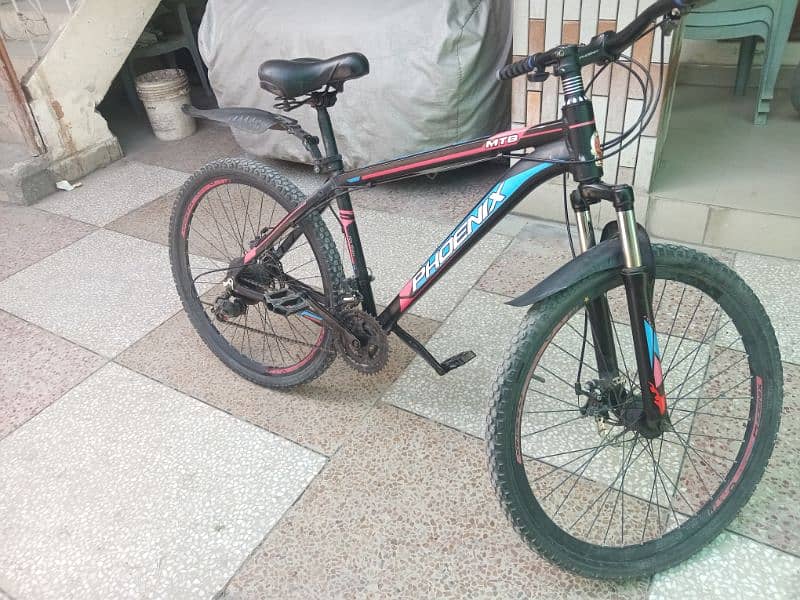 Phoenix Mtb Cycle 10