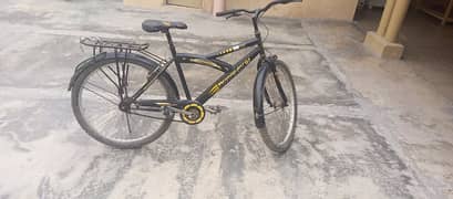 Phonex Bicycle
