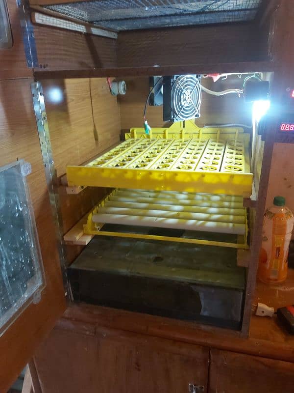 200 plus eggs incubator 0