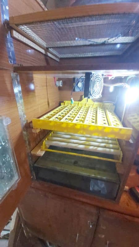 200 plus eggs incubator 2