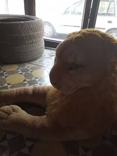 Stuffed Lion