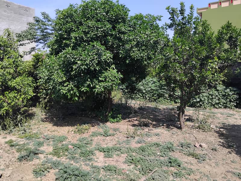 25.45 Marla Plot for sale on Doburji Malihan Road 4