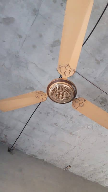 Ceiling Fan 1