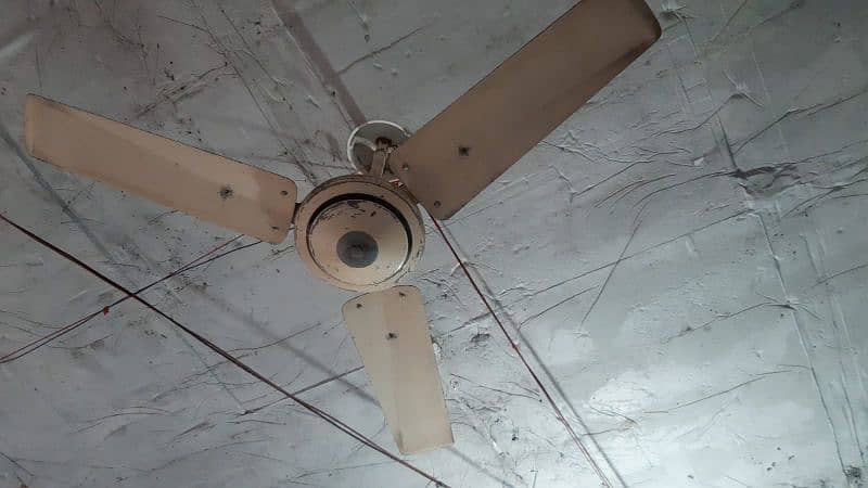 Ceiling Fan 2