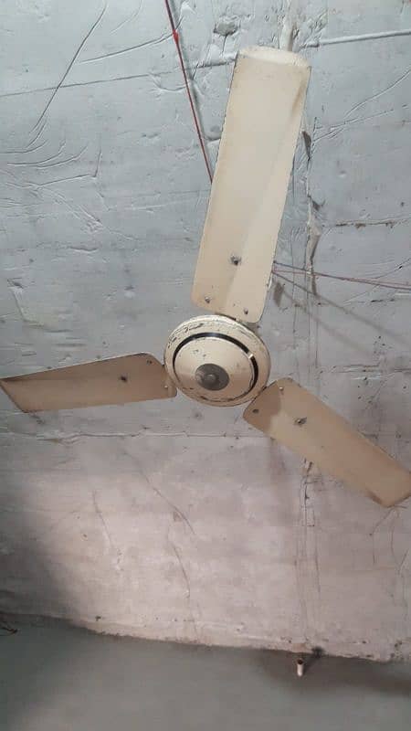 Ceiling Fan 3
