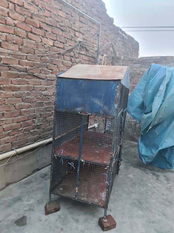 big pinjra available in reasonable price 1