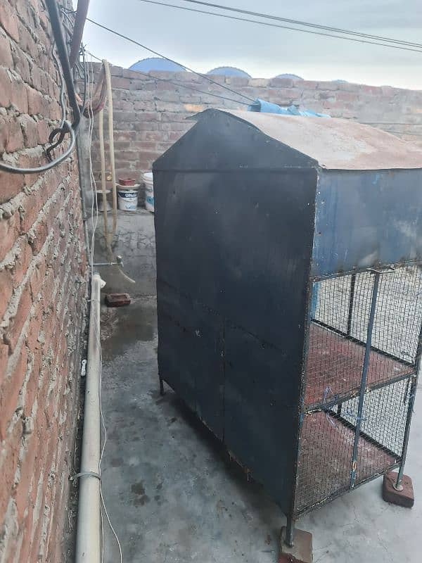 big pinjra available in reasonable price 2