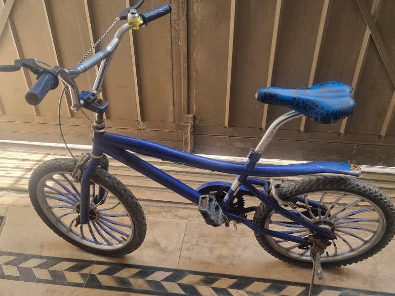 Imported Cycle 1