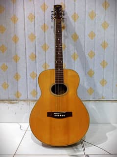 Guitar Acoustic Advanced