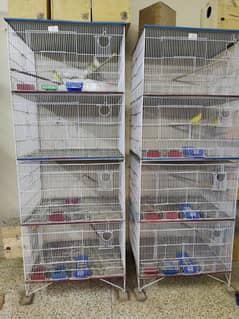 Birds cages