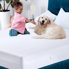 Mattress Protector & Cover 100% Waterproof & Bed Bug Free