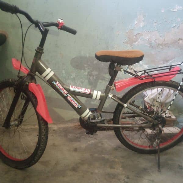 RED CYCLE 0