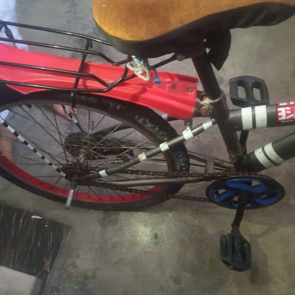 RED CYCLE 5