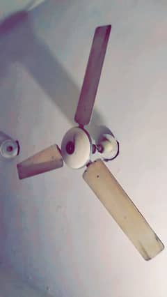 Ceiling Fans