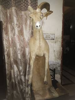 Second hand home decor damaged