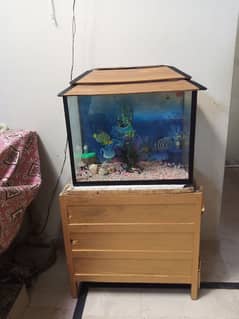 I am sell this aquarium