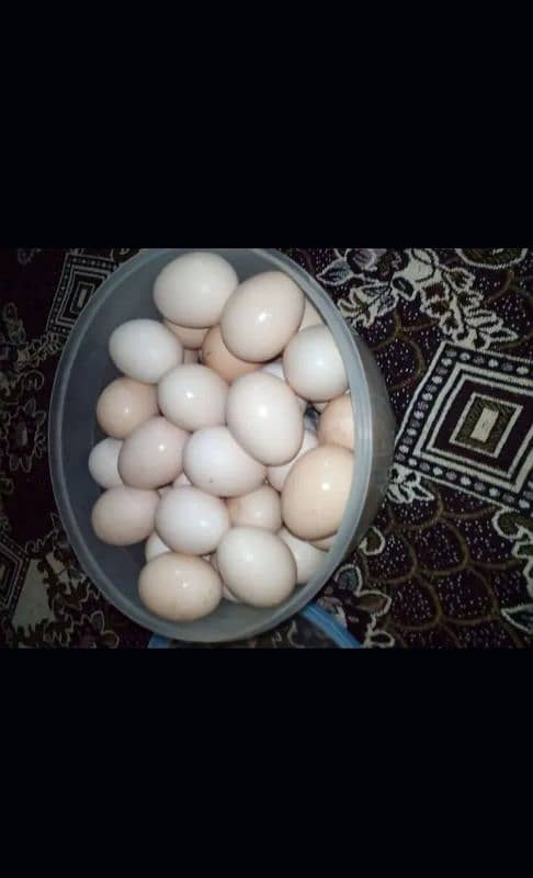 Desi eggs of home grown chicken for sale 0