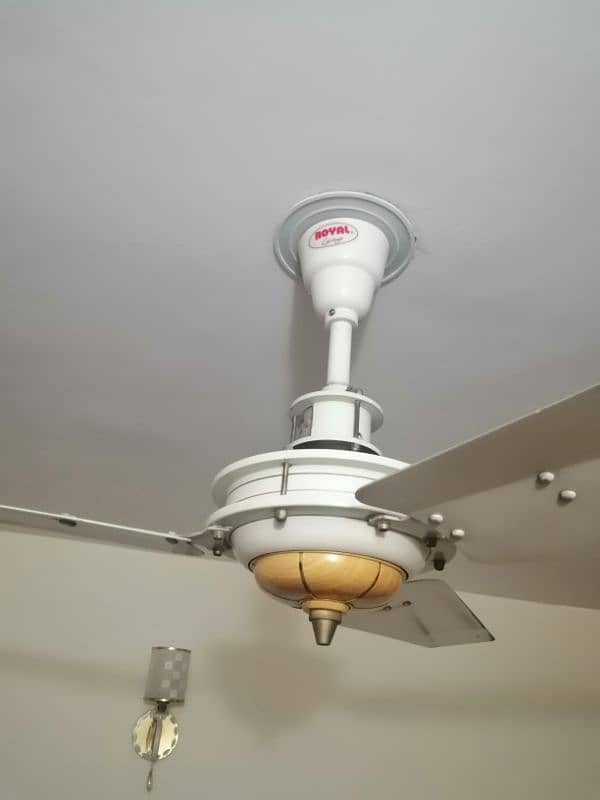 Ceiling and Bracket Fan 1