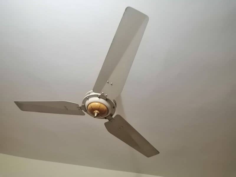 Ceiling and Bracket Fan 2