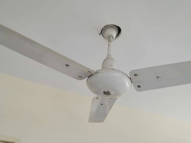 Ceiling and Bracket Fan 5