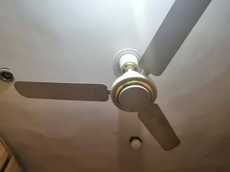Ceiling and Bracket Fan 6