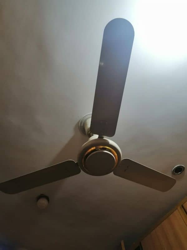 Ceiling and Bracket Fan 7