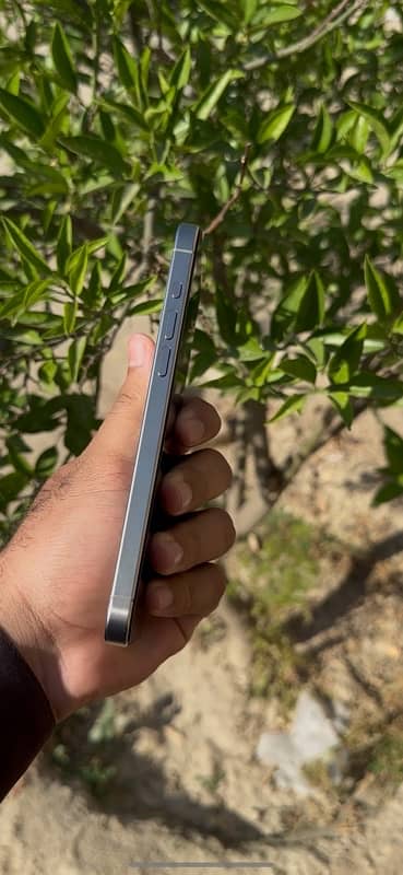 15 pro max 256 gb jv / Natural titanium 1