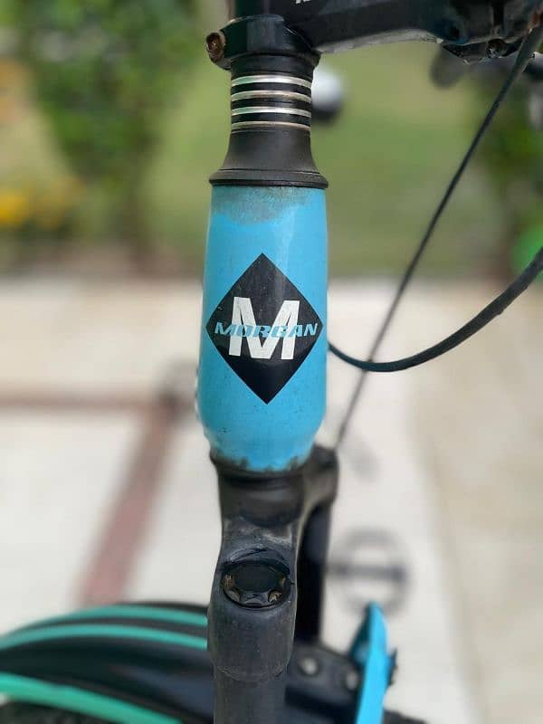 Morgan Kids bicycle 0