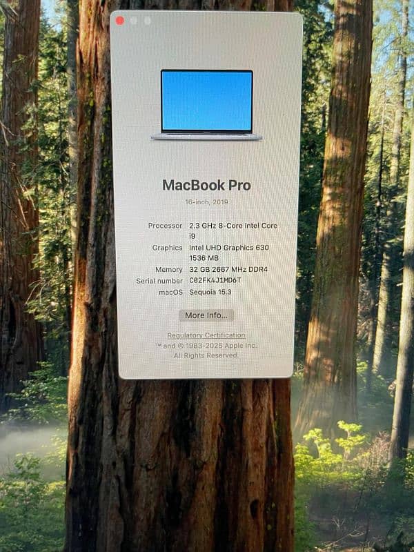 MacBook Pro 16inch 2019 Core i9 32GB Ram 1TB SSD 5