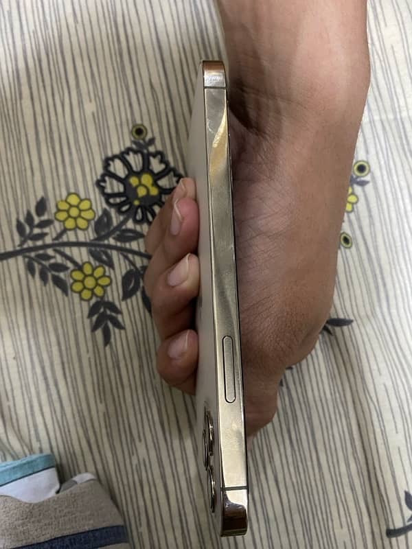 Iphone 12 pro pta approved 256gb Golden Color 3