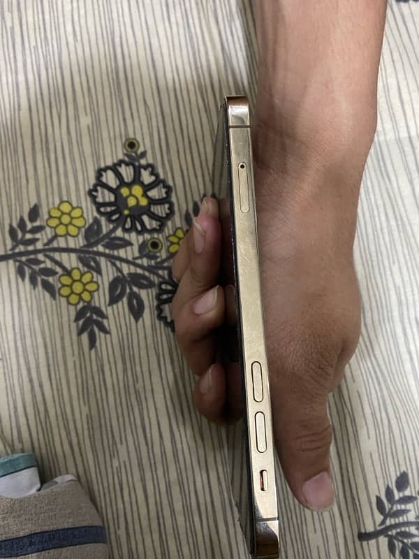 Iphone 12 pro pta approved 256gb Golden Color 4