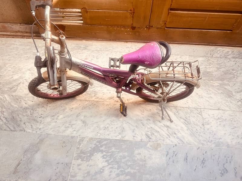 kid cycle 1